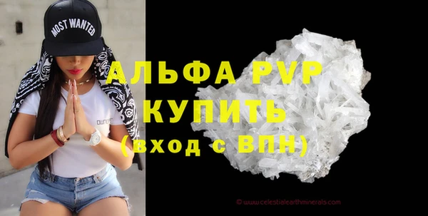 стаф Кукмор
