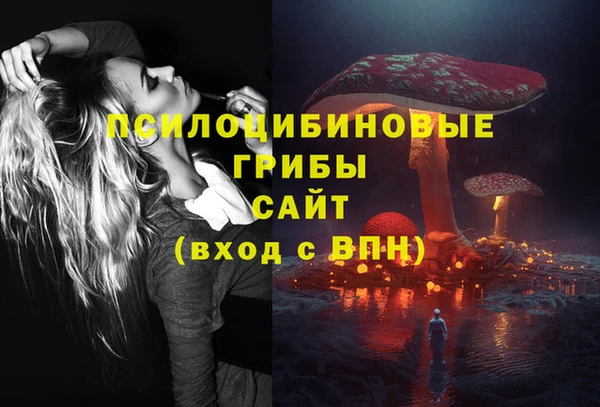 стаф Кукмор