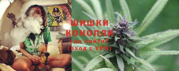 стаф Кукмор