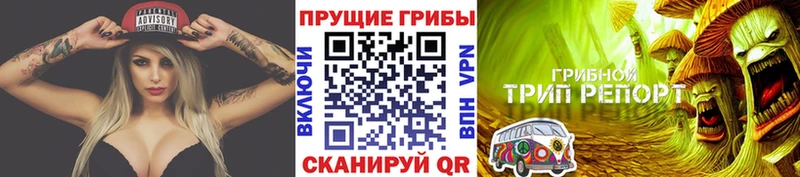 Купить  Пересвет  Псилоцибиновые грибы MAGIC MUSHROOMS 